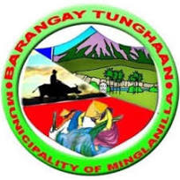 Barangay Tunghaan